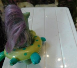 pony blue bk